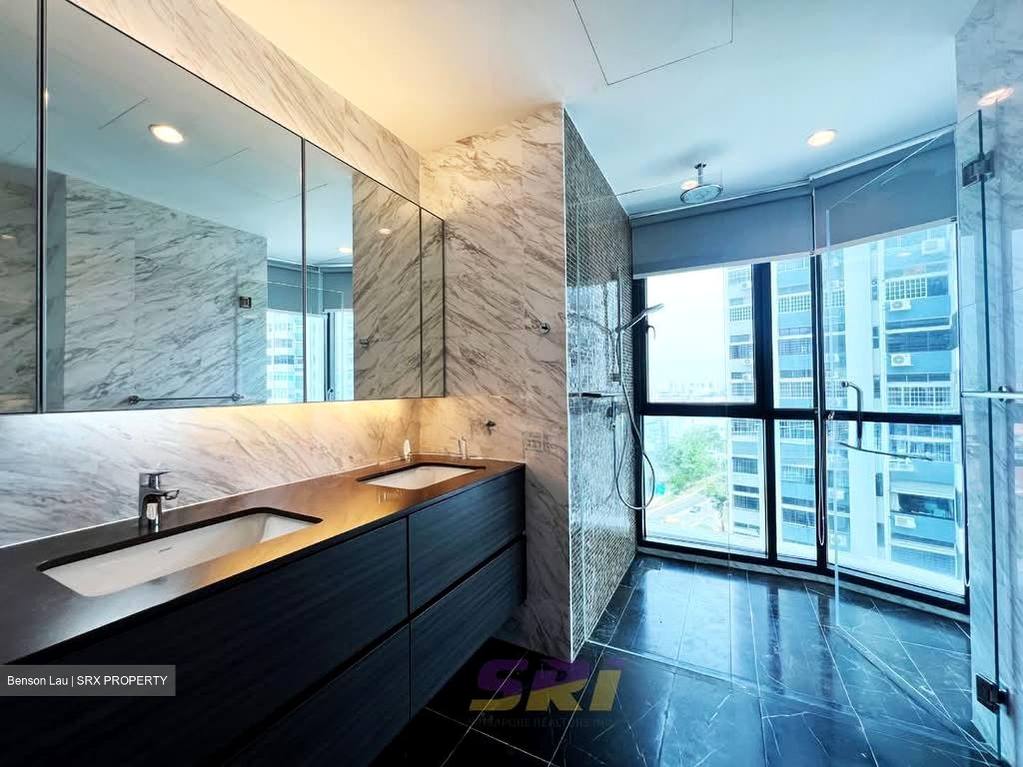 Amber Skye (D15), Apartment #580571181